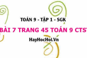 Bài 7 trang 45 Toán 9 tập 1 Chân trời sáng tạo